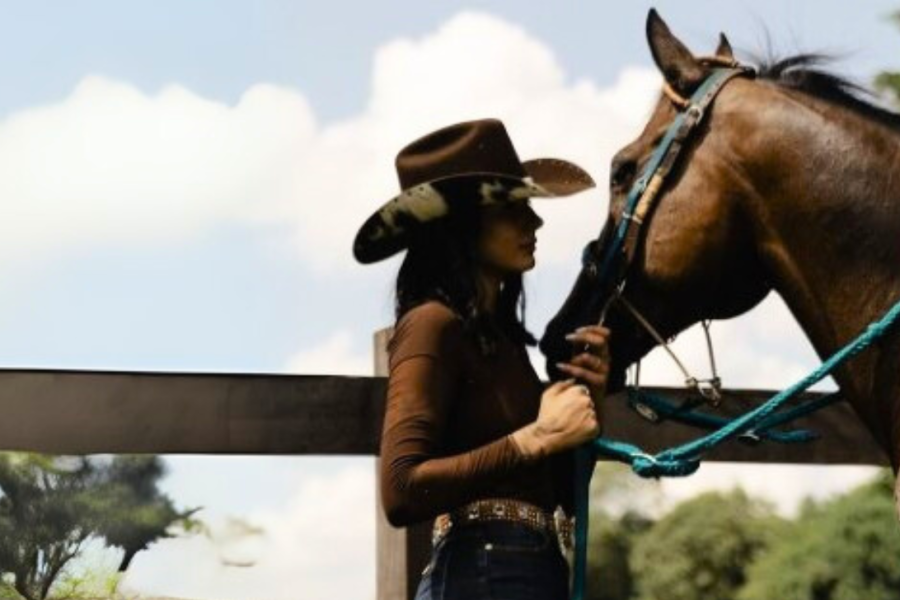 Ana Castela e Luísa Mell cobram justiça a cavalo mutilado Ana Castela e Luísa Mell cobram justiça a cavalo mutilado