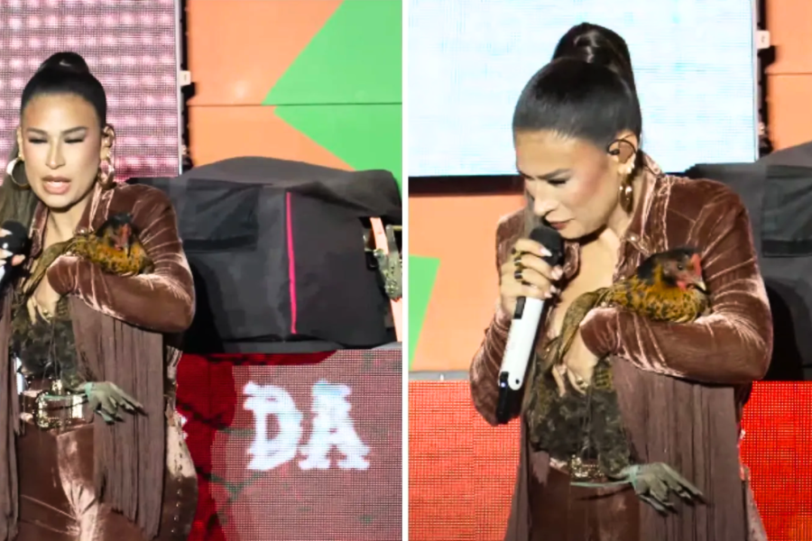 Simone Mendes ganha galinha durante show, batiza como Jurema e Simone Mendes ganha galinha durante show, batiza como Jurema e