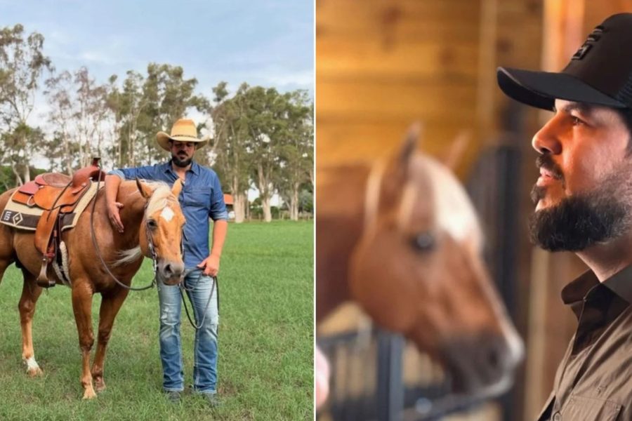 Sorocaba investe pesado e traz cavalo de linhagem nobre dos Sorocaba investe pesado e traz cavalo de linhagem nobre dos